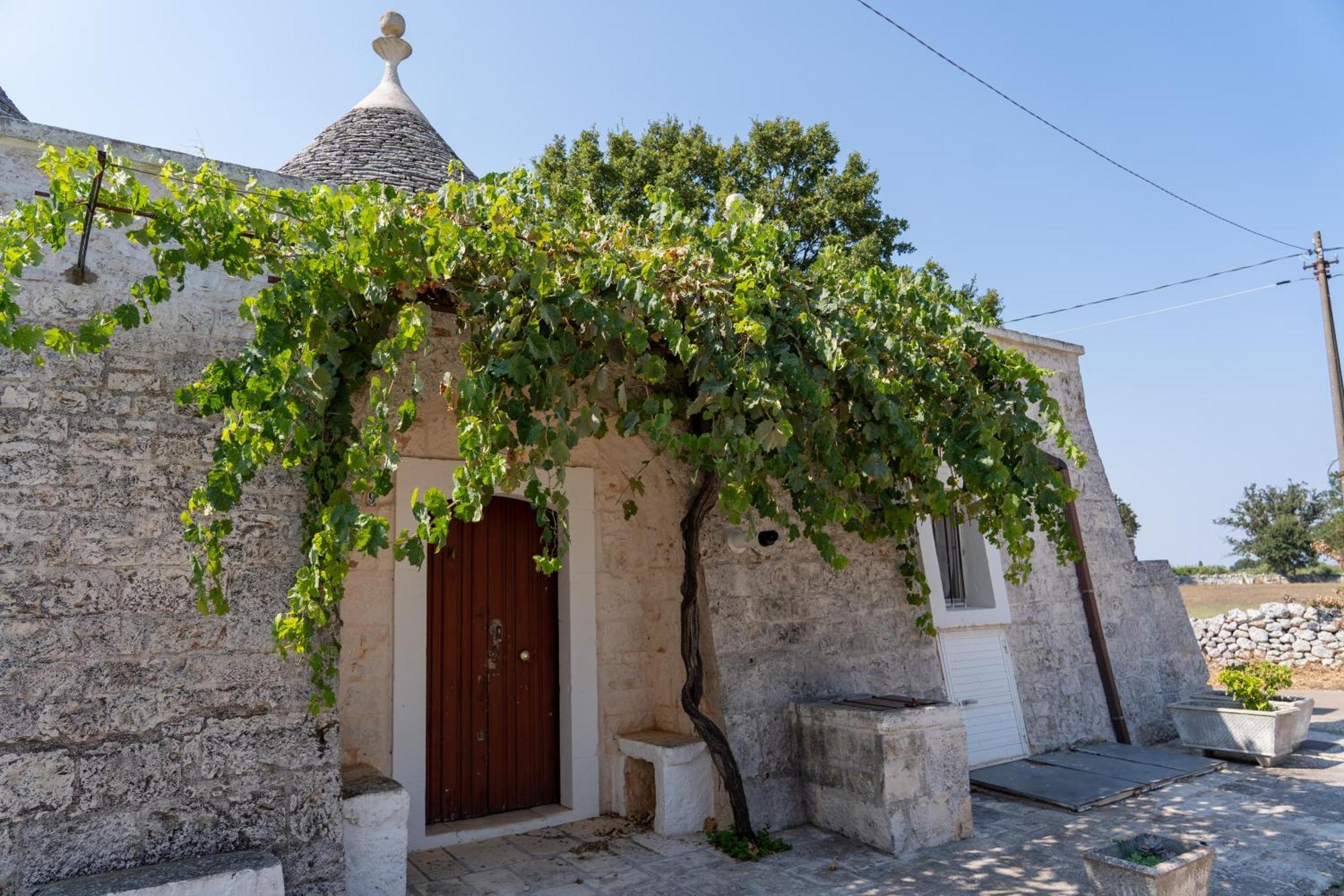 Trullo Vacanze Di Cumma Rosa Alberobello Exterior foto